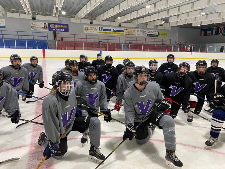 Personal & Group Hockey Training Vision Hockey Group